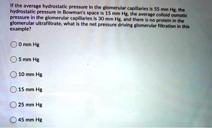 If the average hydrostatic pressure in the glomerular capillaries is 55 mm Hg, the hydrostatic pressure in Bowman's space is 15 mm Hg, the average colloid osmotic pressure in the glomerular capillaries is 30 mm Hg, and there is no protein in the glomerular ultrafiltrate, what is the net pressure driving glomerular filtration in this example?
0 mm Hg
5 mm Hg
10 mm Hg
15 mm Hg
25 mm Hg
45 mm Hg