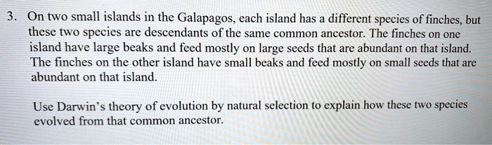 On two small islands in the Galapagos, each island has a different species of finches, but these two species are descendants of the same common ancestor. The finches on one island have large beaks and feed mostly on large seeds that are abundant on that island. The finches on the other island have small beaks and feed mostly on small seeds that are abundant on that island.

Use Darwin’s theory of evolution by natural selection to explain how these two species evolved from that common ancestor.