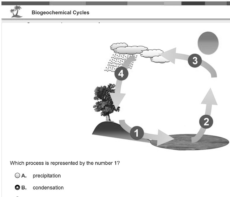SOLVED: 'Which is represented by 1? Biogeochemical Cycles Which process ...