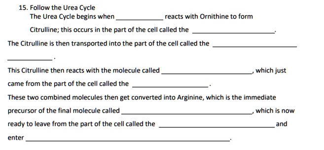 Follow the Urea Cycle
The Urea Cycle begins when  reacts with Ornithine to form
Citrulline; this occurs in the part of the cell called the .
The Citrulline is then transported into the part of the cell called the 
.
This Citrulline then reacts with the molecule called , which just
came from the part of the cell called the .
These two combined molecules then get converted into Arginine, which is the immediate
precursor of the final molecule called , which is now
ready to leave from the part of the cell called the  and
enter .