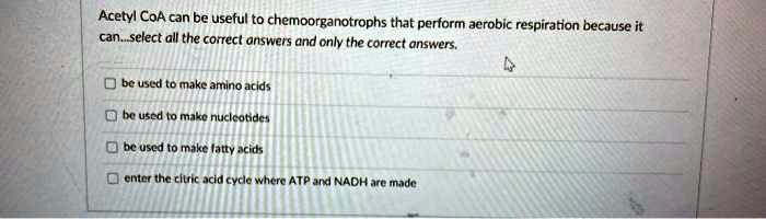 Acetyl CoA can be useful to chemoorganotrophs that perform aerobic respiration because it can...select all the correct answers and only the correct answers.

be used to make amino acids
be used to make nucleotides
be used to make fatty acids
enter the citric acid cycle where ATP and NADH are made