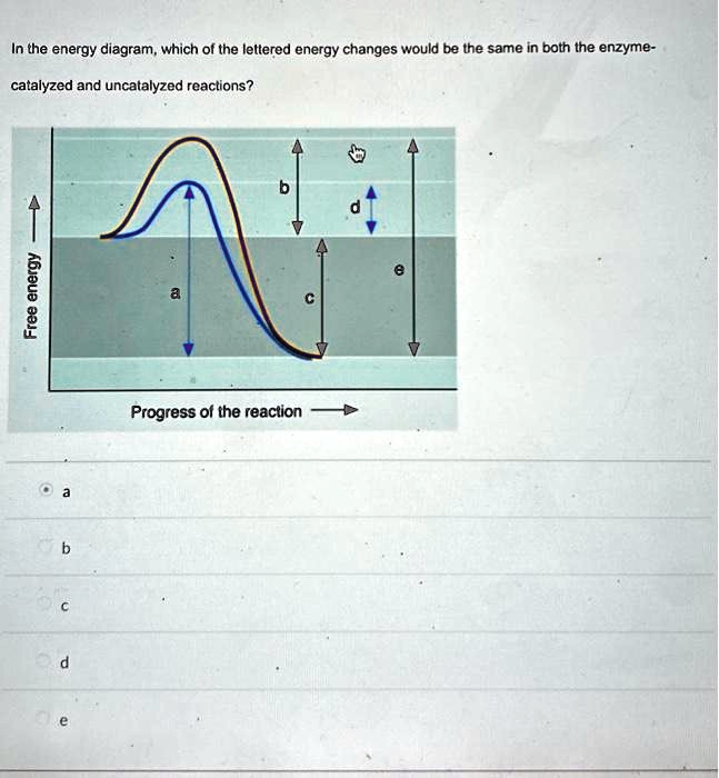 In the energy diagram, which of the lettered energy changes would be the same in both the enzyme-
catalyzed and uncatalyzed reactions?