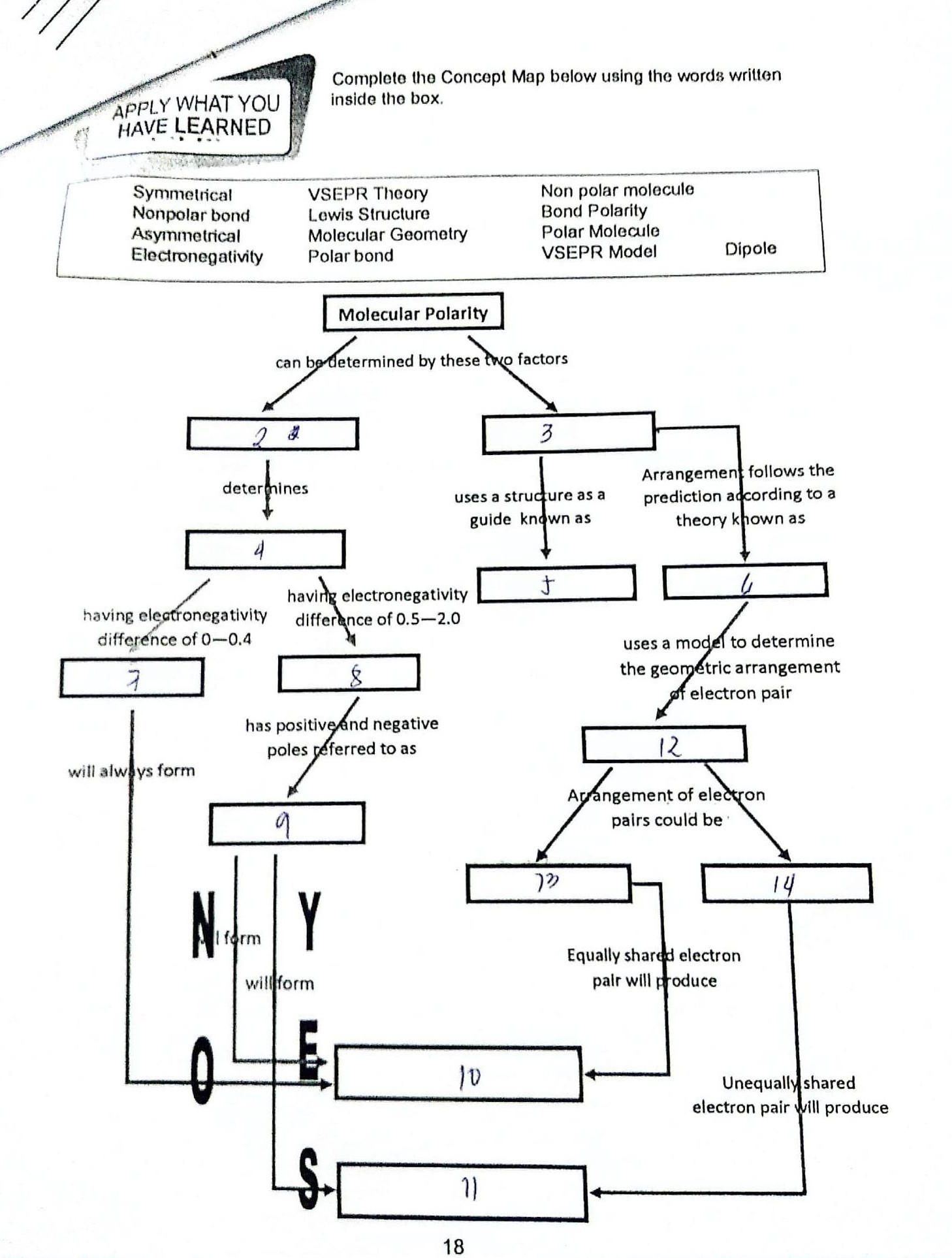 SOLVED APPLY WHAT YOU Complete The Concept Map Below Using The Words   07d10e6a 0768 4675 9b8d 70da876b0c1a 