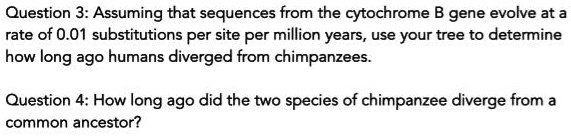 SOLVED: Question 3: Assuming that sequences from the cytochrome B gene