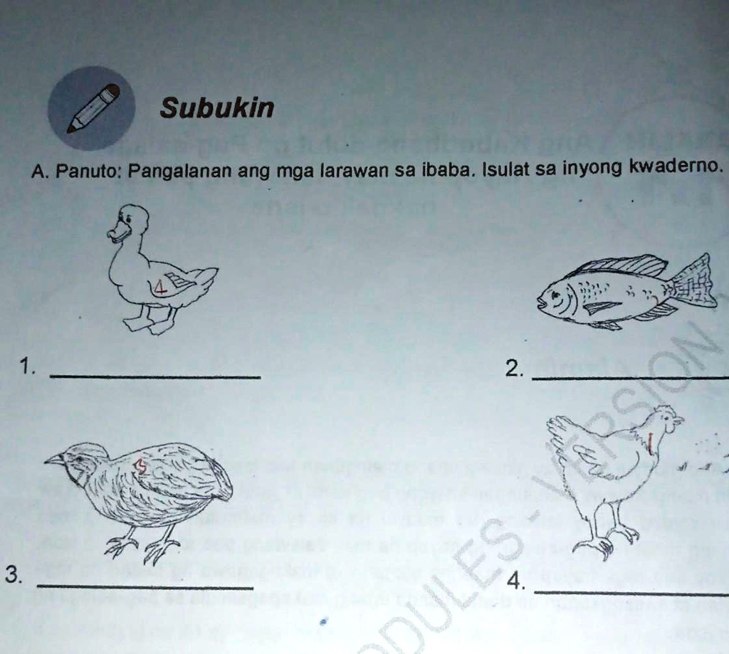 SOLVED: A. Panuto: Pangalanan Ang Mga Larawan Sa Ibaba. Isulat Sa Inyong Kwaderno. EPP POWAG ...