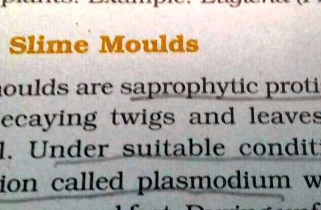 solved-what-does-plasmodium-mean-here-under-suitable-conditions-they