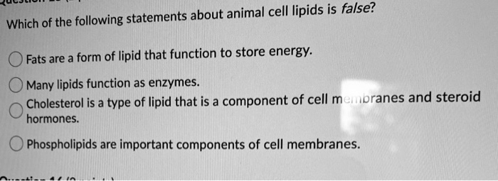 Which Of The Following Statements About Lipids Is False