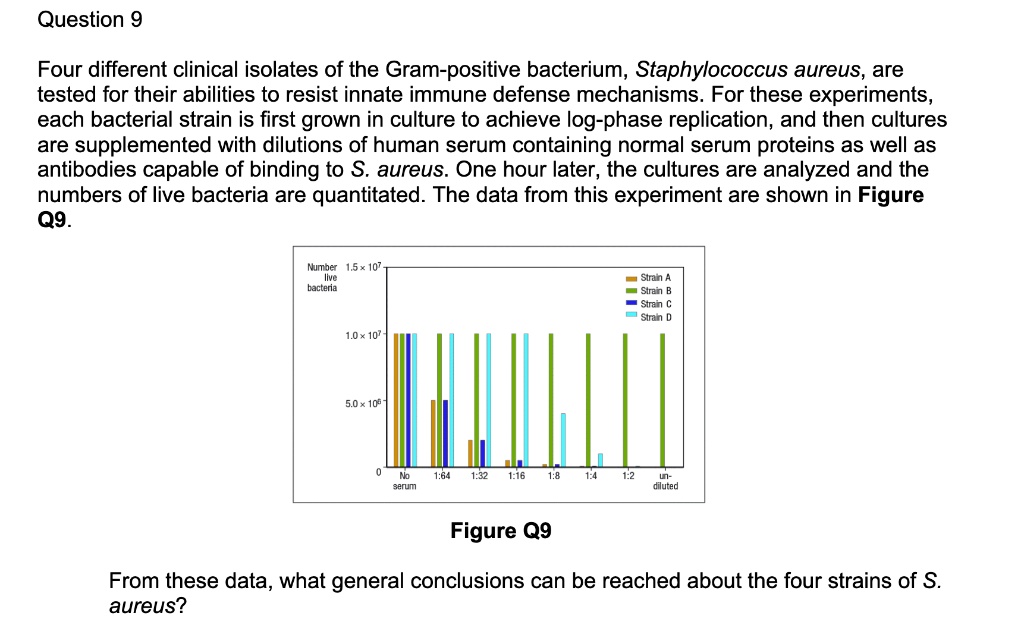 Question 9

Four different clinical isolates of the Gram-positive bacterium, Staphylococcus aureus, are tested for their abilities to resist innate immune defense mechanisms. For these experiments, each bacterial strain is first grown in culture to achieve log-phase replication, and then cultures are supplemented with dilutions of human serum containing normal serum proteins as well as antibodies capable of binding to S. aureus. One hour later, the cultures are analyzed and the numbers of live bacteria are quantitated. The data from this experiment are shown in Figure Q9.

Figure Q9

From these data, what general conclusions can be reached about the four strains of S. aureus?