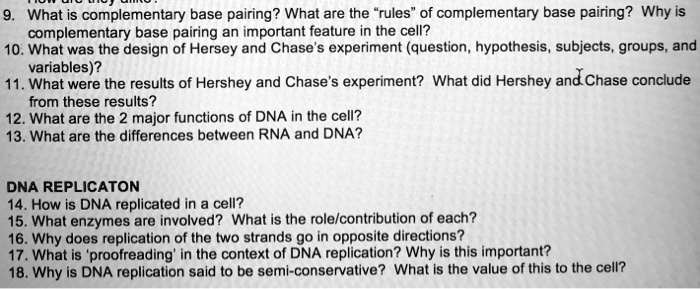 rules complementary base pairing