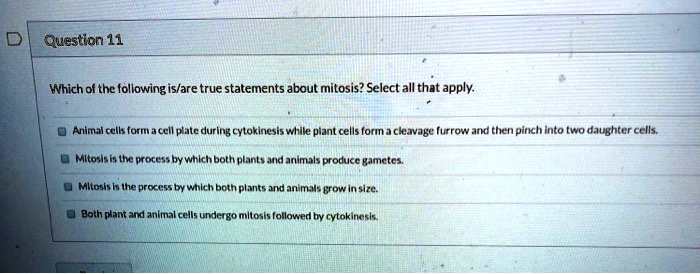 Which Of The Following Statements Is True About Memory Cells SOLVED: Which of the following is/are true statements about mitosis