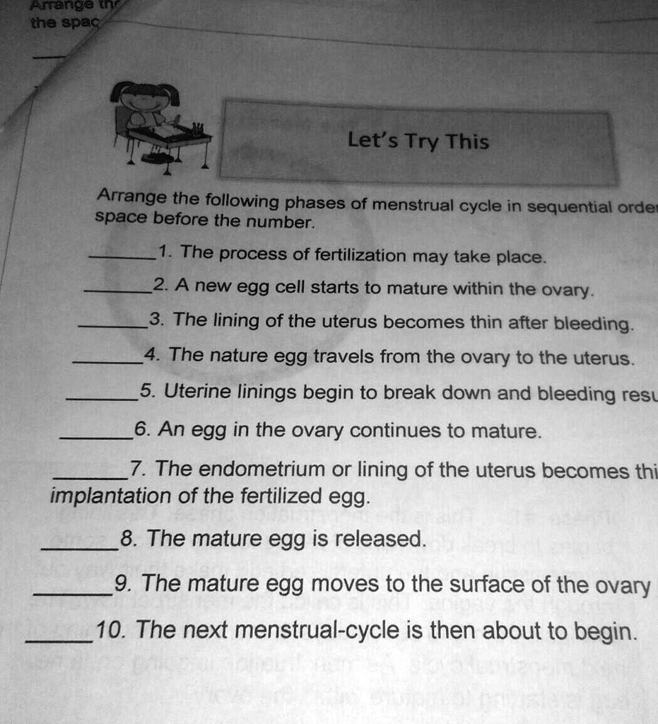 Arrange the following phases of menstrual cycle in...