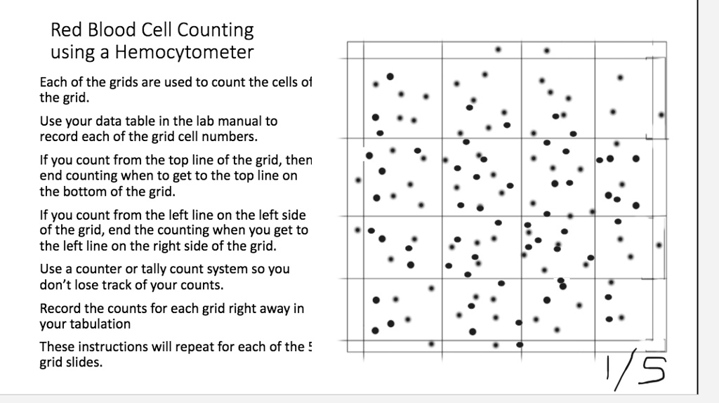 solved-red-blood-cell-counting-using-a-hemocytometer-each-of-the-grids