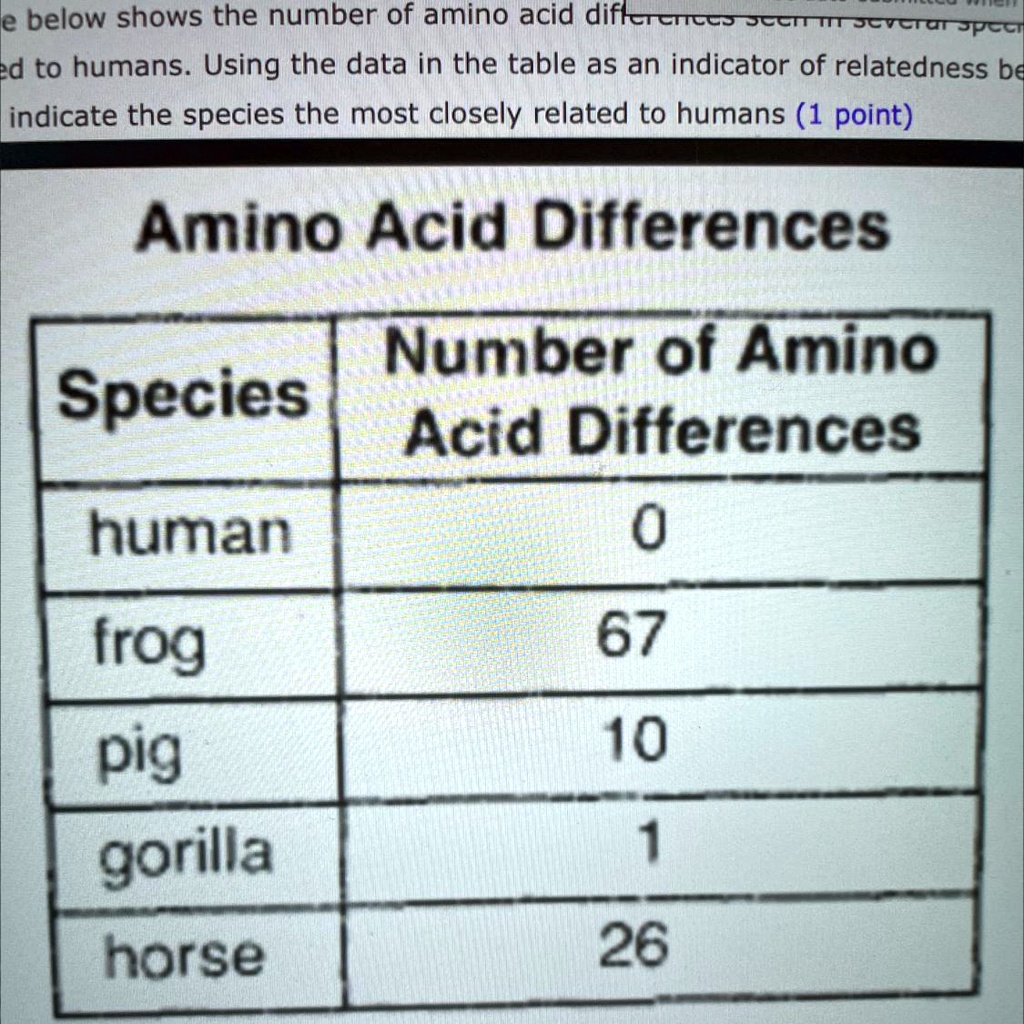How Much Does An Amino Acid Weigh the table below shows the number of amino acid differences seen in