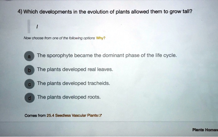 4) Which developments in the evolution of plants allowed them to grow tall?

Now choose from one of the following options Why?

a The sporophyte became the dominant phase of the life cycle.
b The plants developed real leaves.
c The plants developed tracheids.
d The plants developed roots.

Comes from 25.4 Seedless Vascular Plants
