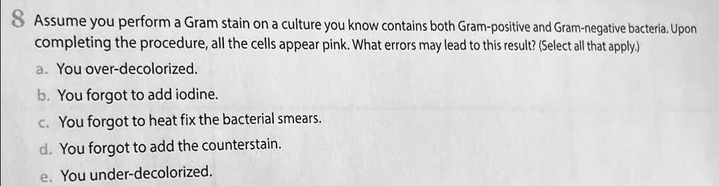 SOLVED: Assume you perform a Gram stain on a culture you know contains ...