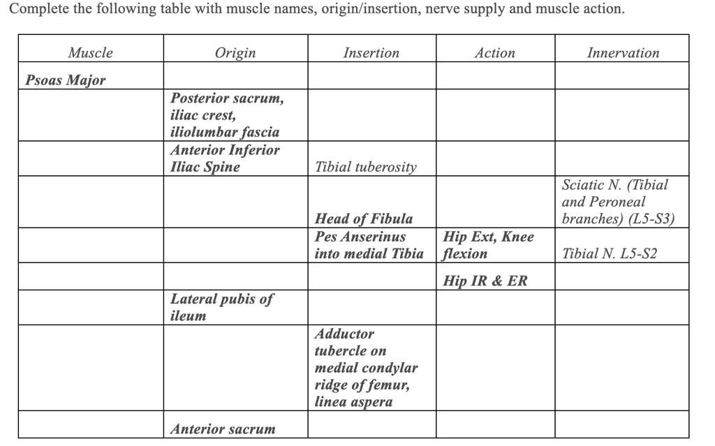 complete the following table with muscle names origininsertion nerve ...