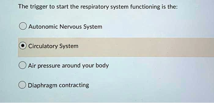 SOLVED: The trigger to start the respiratory system functioning is the ...