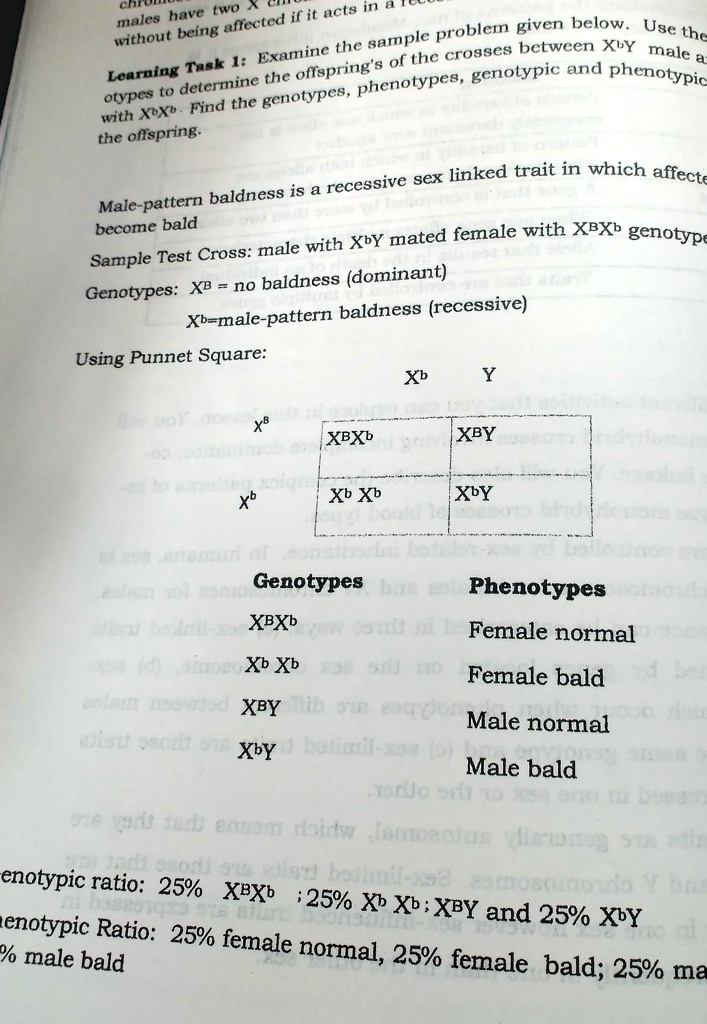 SOLVED: &#39;Learning Task 1: Examine the sample problem given below. Use the same gen-otypes to ...