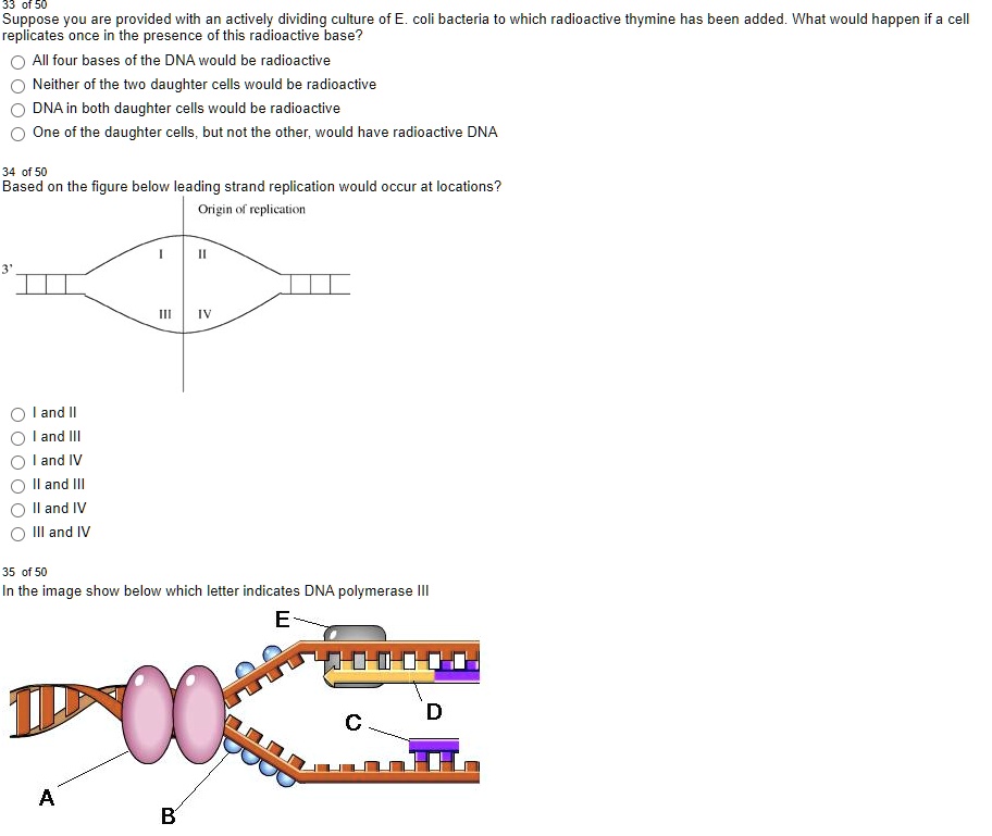 Suppose you are provided with an actively dividing culture of E. coli bacteria to which radioactive thymine has been added. What would happen if a cell replicates once in the presence of this radioactive base?
All four bases of the DNA would be radioactive
Neither of the two daughter cells would be radioactive
DNA in both daughter cells would be radioactive
One of the daughter cells, but not the other, would have radioactive DNA
Based on the figure below leading strand replication would occur at locations?
Origin of replication
I and II
I and III
I and IV
II and III
II and IV
III and IV
In the image show below which letter indicates DNA polymerase III
E
D
C
B
A
