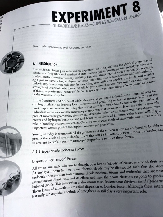 8 EXPERIMENT MOLASSES JANUARY intermolecular forces … SolvedLib