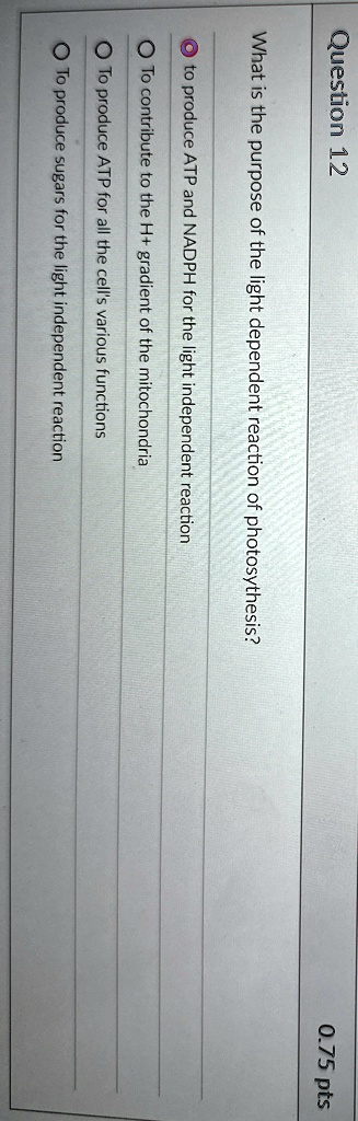 question 12 what is the purpose of the light dependent reaction of photosythesis to produce atp and nadph for the light independent reaction to contribute to the h gradient of the mitochondr 74665