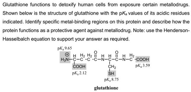 Glutathione functions to detoxify human cells from exposure