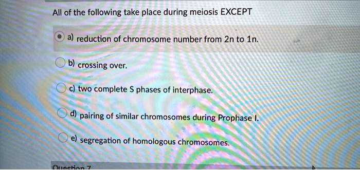 Rem Sleep Involves All Of The Following Except