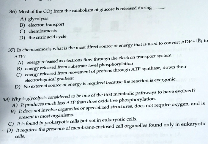 36 most of the co2 from the catabolism of glucose is released during a
