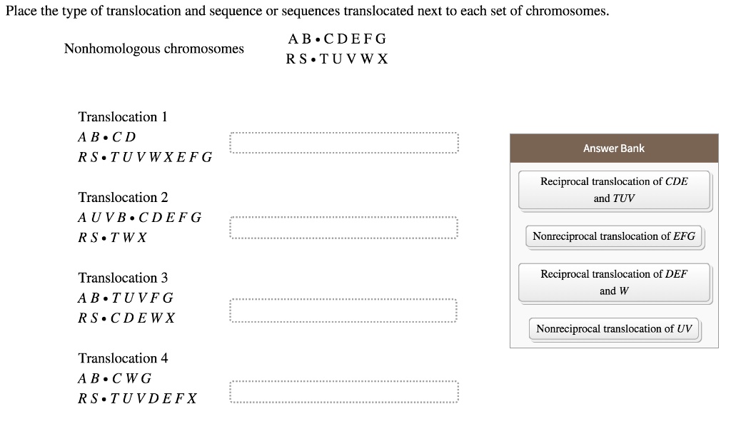 Place the type of translocation and sequence or sequences translocated next to each set of chromosomes.

Nonhomologous chromosomes
AB • C D E F G
RS • T U V W X

Translocation 1
AB • CD
RS • T U V W X E F G

Translocation 2
A U V B • C D E F G
RS • T W X

Translocation 3
AB • T U V F G
RS • C D E W X

Translocation 4
AB • C W G
RS • T U V D E F X

Answer Bank
Reciprocal translocation of CDE and TUV
Nonreciprocal translocation of EFG
Reciprocal translocation of DEF and W
Nonreciprocal translocation of UV