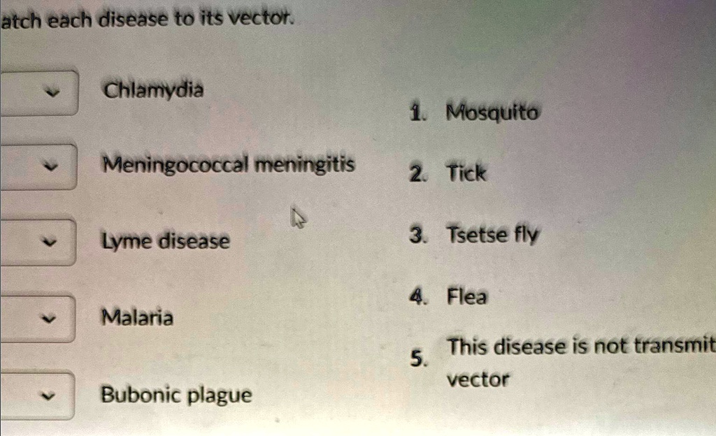 atch each disease to its vector.
Chlamydia
1. Mosquito
Meningococcal meningitis
2. Tick
Lyme disease
3. Tsetse fly
4. Flea
Malaria
This disease is not transmit
5.
vector
Bubonic plague