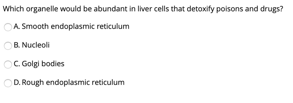 Which organelle would be abundant in liver cells that detoxify poisons and drugs?
A. Smooth endoplasmic reticulum
B. Nucleoli
C. Golgi bodies
D. Rough endoplasmic reticulum