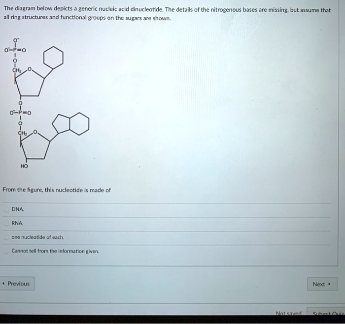 SOLVED: The diagram below depicts generic nucleic acid dinucleotide ...