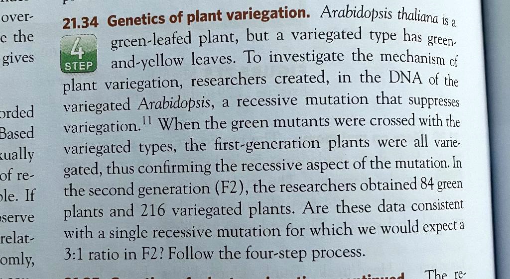21.34 Genetics of plant variegation. Arabidopsis thaliana is a green-leafed plant, but a variegated type has green-and-yellow leaves. To investigate the mechanism of plant variegation, researchers created, in the DNA of the variegated Arabidopsis, a recessive mutation that suppresses variegation. When the green mutants were crossed with the variegated types, the first-generation plants were all variegated, thus confirming the recessive aspect of the mutation. In the second generation (F2), the researchers obtained 84 green plants and 216 variegated plants. Are these data consistent with a single recessive mutation for which we would expect a 3:1 ratio in F2? Follow the four-step process.