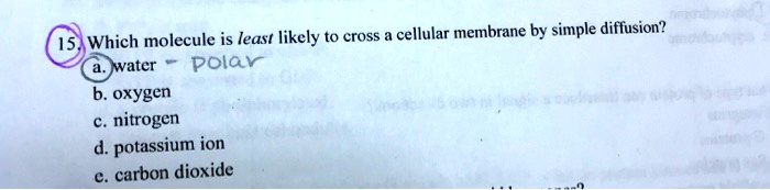 SOLVED: Cellular membrane by simple diffusion? Which molecule is least ...