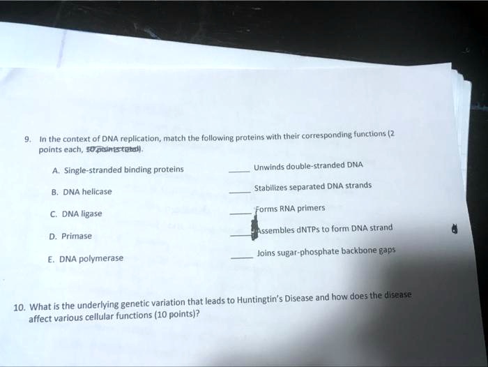 SOLVED In the context of DNA replication, match the following proteins