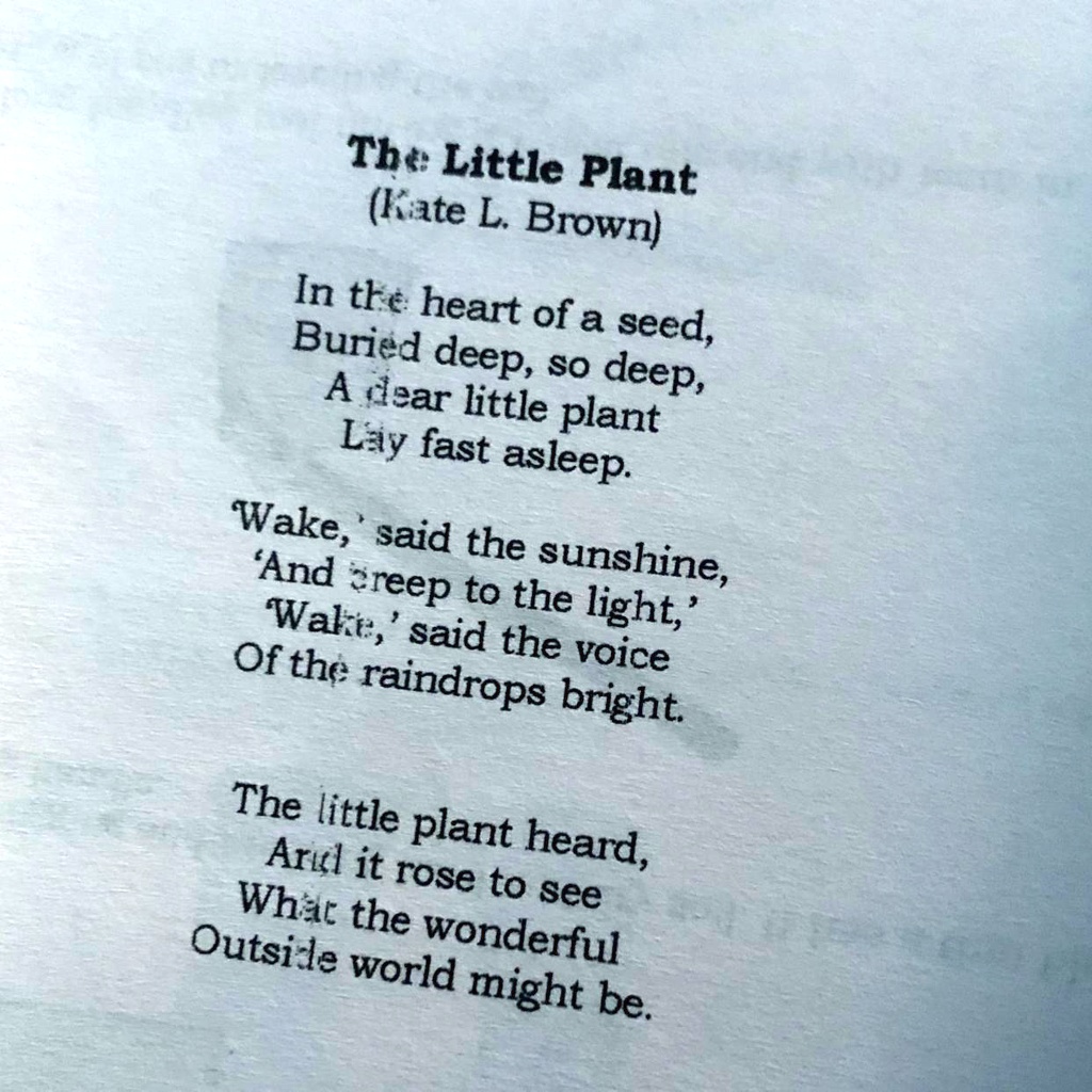 the day you plant the seed quote The day you plant the seed is not the day you eat the fruit  SPOKEN