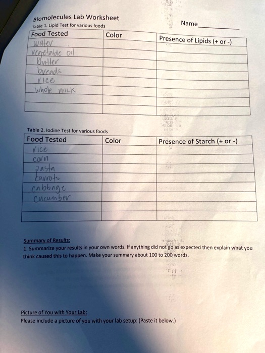 SOLVED Biomolecules Lab Worksheet Lipid Test for various foods Food
