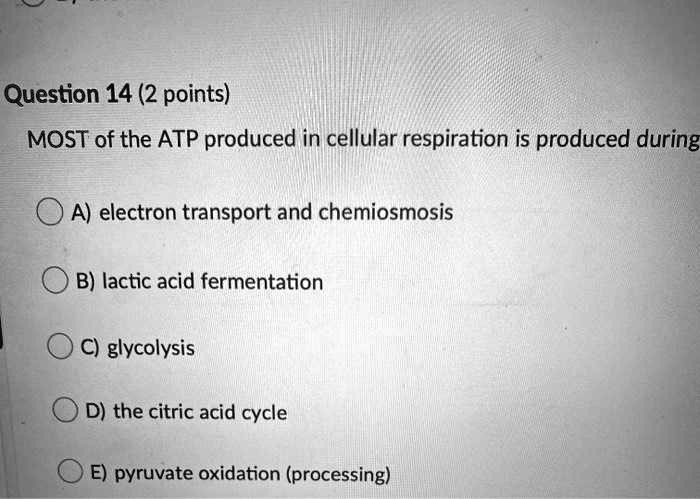 Where Is Most Of The Atp Made During Cellular Respiration SOLVED: Question 14 (2 points) MOST of the ATP produced in cellular