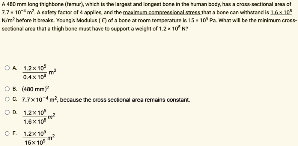 a 480 mm long thighbone femur which is the largest and longest bone in the human body has a cross sectional area of 77 times 10 4 text m2 a safety factor of 4 applies and the maximum compres 63622