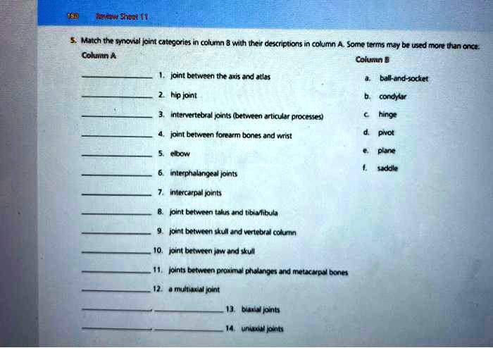 5. Match the synovial joint categories in column B with their descriptions in column A. Some terms may be used more than once.
Column A
Column B
1. joint between the axis and atlas
a. ball-and-socket
2. hip joint
b. condylar
3. intervertebral joints (between articular processes)
c. hinge
4. joint between forearm bones and wrist
d. pivot
5. elbow
e. plane
6. interphalangeal joints
f. saddle
7. intercarpal joints
8. joint between talus and tibia/fibula
9. joint between skull and vertebral column
10. joint between jaw and skull
11. joints between proximal phalanges and metacarpal bones
12. a multiaxial joint
13. biaxial joints
14. uniaxial joints