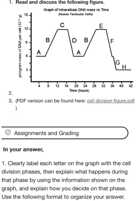 SOLVED: Read and discuss the following figure. Graph of Intracellular