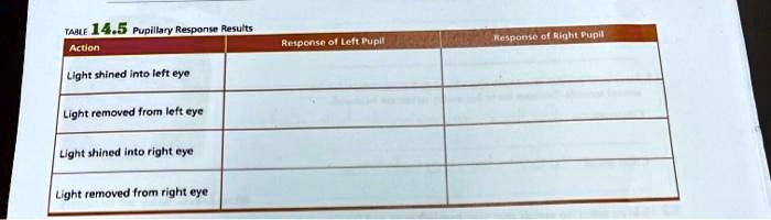 SOLVED: Pupillary Response Results Action Response of Left Pupil Light ...