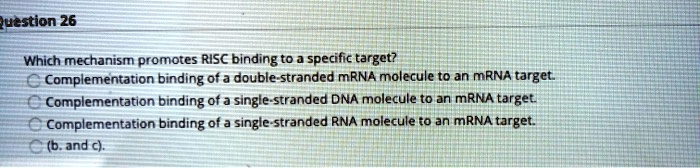 Which mechanism promotes RISC binding to a specific target? Complementation binding of a double-stranded mRNA molecule to an mRNA target. Complementation binding of a single-stranded DNA molecule to an mRNA target. Complementation binding of a single-stranded RNA molecule to an mRNA target. (b. and c).