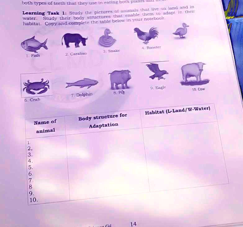 SOLVED: 'Learning Task 1: Study the pictures of animals that live on land  and inStudy their body structures that enable them to adapt in  theirhabitat. Copy and complete the table below in