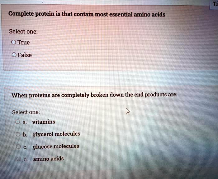 protein is that contain most essential amino acids