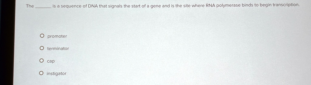 The  is a sequence of DNA that signals the start of a gene and is the site where RNA polymerase binds to begin transcription.

O promoter
O terminator
O cap
O instigator