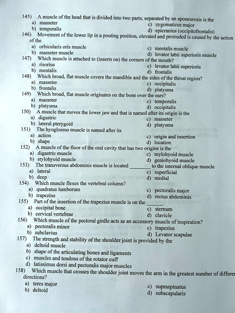 SOLVED: Texts: 145A muscle of the head that is divided into two parts ...