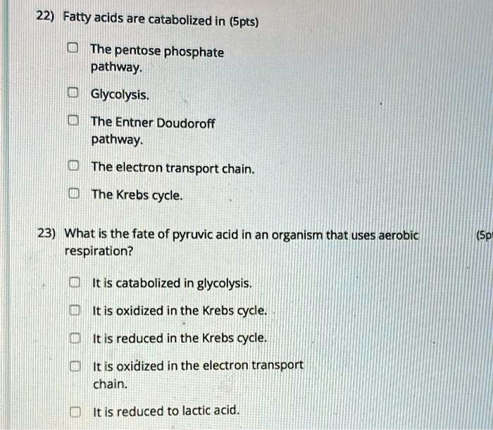 SOLVED 22) Fatty acids are catabolized in the following pathways The