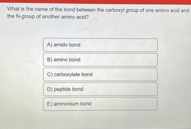 What is the name of the bond between the carboxyl group of one amino acid and the N-group of another amino acid?
A) amido bond
B) amino bond
C) carboxylate bond
D) peptide bond
E) ammonium bond