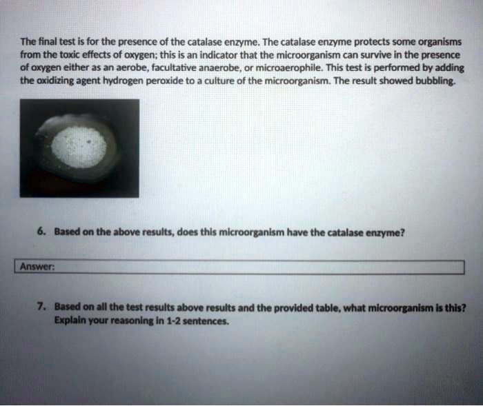 micro bio lab - sg catalase test questions flashcards... The final test is for the presence of the catalase enzymc...